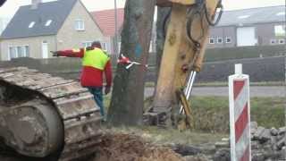 bomen aan de Vaartweg [upl. by Freeman]