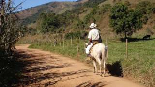 DIONÍSIO REINO ENCANTADO [upl. by Magena]