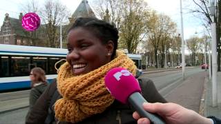 Negers over racismegehalte Nederland [upl. by Eads]