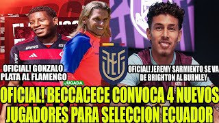 BECCACECE CONVOCA 4 NUEVOS JUGADORES PARA SELECCION ECUADOR PLATA A FLAMENGO Y SARMIENTO AL BURNLEY [upl. by Delmor]