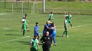 Highlights I Westfalenliga St2 425 1SP SV Sodingen  SC Westfalia Herne [upl. by Eicam]