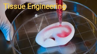 Tissue Engineering  components of tissue engineering [upl. by Stacey292]