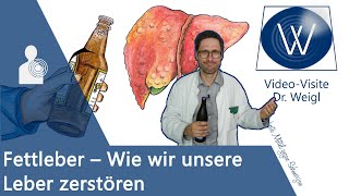 Fettleber amp Leberschaden durch Alkohol falsche Ernährung Medikamente 🍻🍔💊 erkennen amp behandeln [upl. by Enimzzaj]