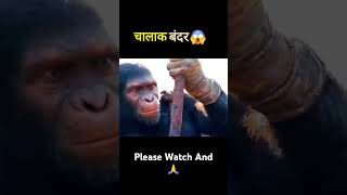 चालक बंदर kingdom Of The Planet Of The Apes Movie Explained HindiUrdu shorts [upl. by Sheba]