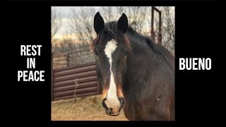 Lost Bueno amp Spring Cleaning Giveaway  Rodeo Time 129 [upl. by Odericus211]