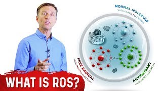 What Are Reactive Oxygen Species ROS  Dr Berg [upl. by Saretta]