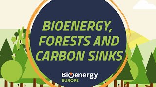 Bioenergy forests and carbon sinks  Bioenergy explained [upl. by Carbrey492]