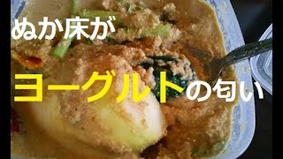 糠床がﾖｰｸﾞﾙﾄの匂い★Day10 of Nukazukefermentative rice bran pickles [upl. by Tera359]