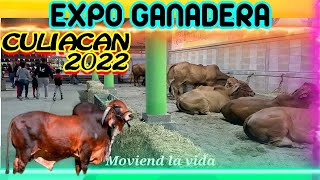 FERIA GANADERA CULIACAN 2022 PRESENTES LAS MEJORES GANADERIAS DE SINALOA 🐴🐴🐴 [upl. by Nananne409]