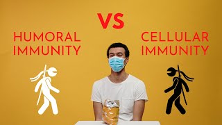 HUMORAL VS CELLULAR IMMUNITY [upl. by Karas399]