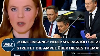 DEUTSCHLAND quotEs gibt keine Einigungquot Neuer Sprengstoff Nun zofft sich die Ampel über dieses Thema [upl. by Aivek]