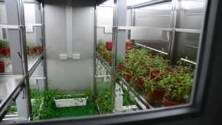 Taiwan HiPoint SINICA Institute growth chamber [upl. by Enaols351]