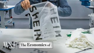 How Shein Built a 66B FastFashion Empire  WSJ The Economics Of [upl. by Analed]