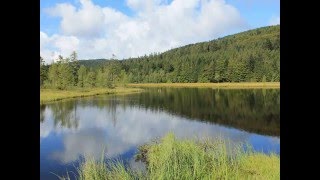 DANS LES MONTAGNES VOSGIENNES Valse thierrymonicault Accordéon et chant [upl. by Aihsenak]