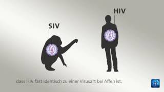 AIDS Woher stammt HIV [upl. by Calla977]