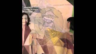 Gotye  Somebody That I Used To Know ft Kimbra Robotic Pirate Monkey Remix [upl. by Naoj]