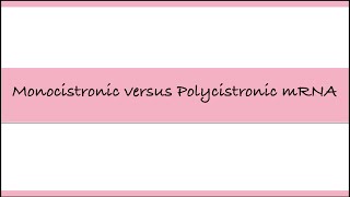 Difference between Monocistronic and Polycistronic mRNA  Biology Diaries biology biologyclass12 [upl. by Adnomar]