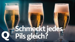 BierExperiment Schmeckt jedes Pils gleich  Quarks [upl. by Oiramed]