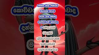 අදරේයි නම් පරිස්සන් කරගන්න ❤️🌻foryou shortvideos sinhalawadansihinasiththaravi [upl. by Nwahs310]