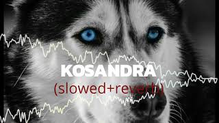 Kosandra slowedreverbed song attitude carsongs slowedandreverb [upl. by Elisee19]