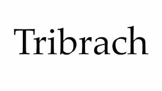 How to Pronounce Tribrach [upl. by Westbrook63]