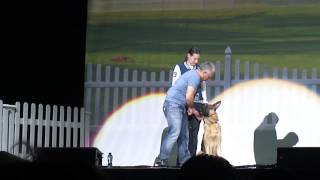 cesar millan live in ahoy quotgerman sheppardquot [upl. by Iinde]