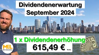 61549 € Bruttodividenden erwarte ich im September für mein Aktiendepot quotNo risk no funquot [upl. by Naji564]