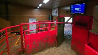 Ouachita Livestock Market For Sale [upl. by Sherlock872]