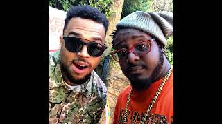 T PAIN X CHRIS BROWN quotIM SPRUNGGO CRAZYquot REVERSE MASHUP FROM TIK TOK [upl. by Hermann]