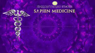 Core Strengthening by Sapien Medicine EnergeticallyMorphic Programmed Audio [upl. by Jillene79]