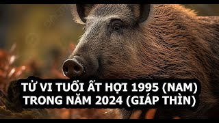 Tử vi tuổi Hợi 1995 Nam mạng năm 2024 Sự nghiệp thăng hoa [upl. by Daffy848]