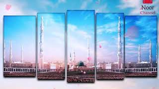 Madina  Madina Naat Qari Rizwan khan MSDI [upl. by Hollie960]