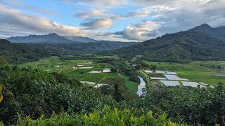 Kauai Helicopter Tour 2023 [upl. by Katee]