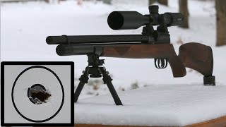 100 Yard Accuracy on a Budget  JTS Airacuda 25  Complete PCP Air Rifle Kit for 500 [upl. by Roobbie]