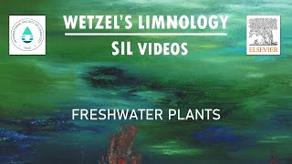 Freshwater Plants  Wetzels Limnology SIL Videos [upl. by Normac379]