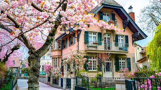 Walking in Zurich Switzerland 🇨🇭 Fresh Spring Impressions [upl. by Nadda]