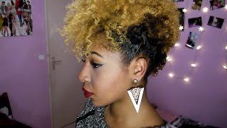 LE FROHAWK  CHEVEUX AFRO COURTS [upl. by Maitund]