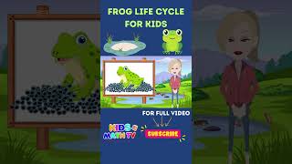 Life Cycle of a Frog Video for Kindergarten  Tadpole To Frog  Life Cycle Of A Frog For Kids [upl. by Enalda]