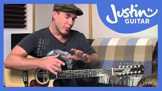 12 String Guitar Tuning Tips amp Tricks on a Maton Messiah Guitar Lesson TE501 [upl. by Epillihp323]