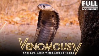 Africa’s Most Venomous Snakes The Venomous 5  2021 Full Documentary [upl. by Ettevad904]