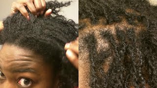 Interlocking Tutorial for Dreadlock Maintenance  Before and After [upl. by Fortunna]