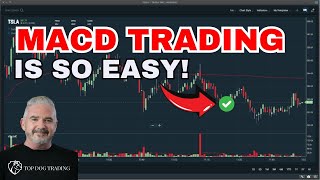 You Wont Believe This MACD Trading Hack Until You See It Yourself [upl. by Akirdnas]