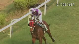 MARKET KING wins The Mahalakshmi Sprint Million [upl. by Aneertak]