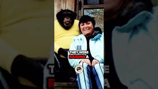 The Disturbing Case of Travis The Chimp awareness disturbing shortfeed [upl. by Loris]