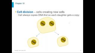 Biology Chapter 10 [upl. by Grant733]