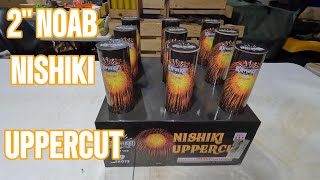 NISHIKI UPPERCUT 2quot NOAB FROM HEAVYWEIGHT fireworks 4thofjuly pyro pyroaddicts demo [upl. by Okuy591]