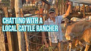 Heartwarming Encounter in Bucerías Mexico  Chatting with Local Cattle Rancher [upl. by Coonan]