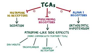 Tricyclic Antidepressants pharmacology 🔥OSMOSISFull mechanism side effects selflessmedicose [upl. by Anilejna]