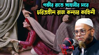 যুবক সাহাবী ও বিশ্ব সুন্দরীর কাহিনী  nasir uddin Ansari new waz  নাসির উদ্দিন আনসারী  amintv24 [upl. by Rosenstein]