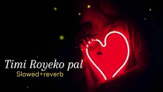 Timi Royeko Pal song 2024  Slowedreverb [upl. by Fiske]